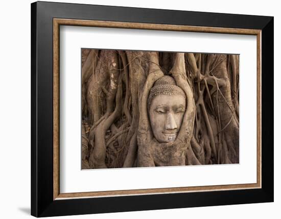 The head of Buddha in Wat Mahathat, Ayutthaya Historical Park, Thailand-Art Wolfe-Framed Photographic Print