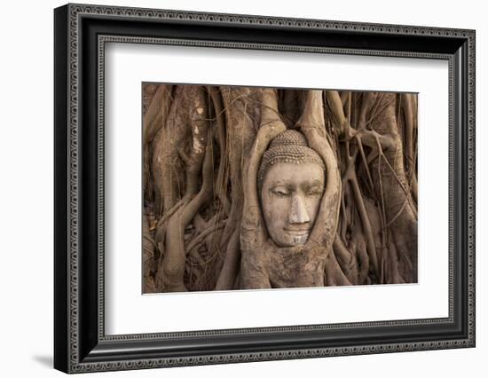 The head of Buddha in Wat Mahathat, Ayutthaya Historical Park, Thailand-Art Wolfe-Framed Photographic Print