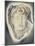 The Head of Medusa, 1884-Simeon Solomon-Mounted Giclee Print