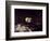 The Head of Saint John the Baptist-José de Ribera-Framed Giclee Print