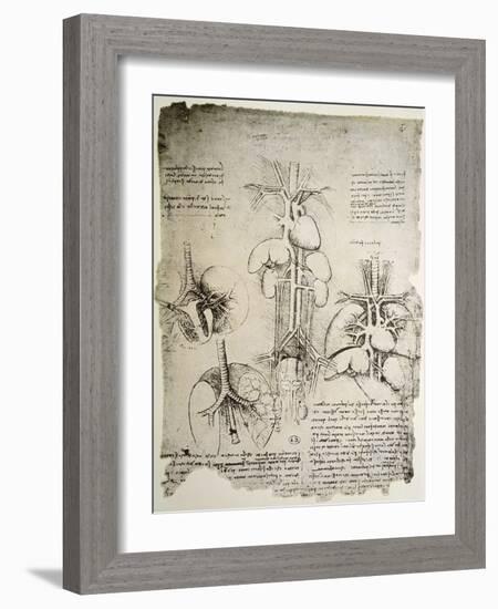 The Heart and the Circulation, Facsimile of the Windsor Book-Leonardo da Vinci-Framed Giclee Print