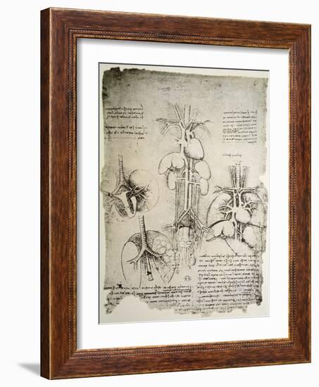 The Heart and the Circulation, Facsimile of the Windsor Book-Leonardo da Vinci-Framed Giclee Print