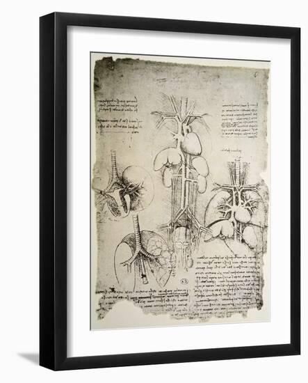 The Heart and the Circulation, Facsimile of the Windsor Book-Leonardo da Vinci-Framed Giclee Print
