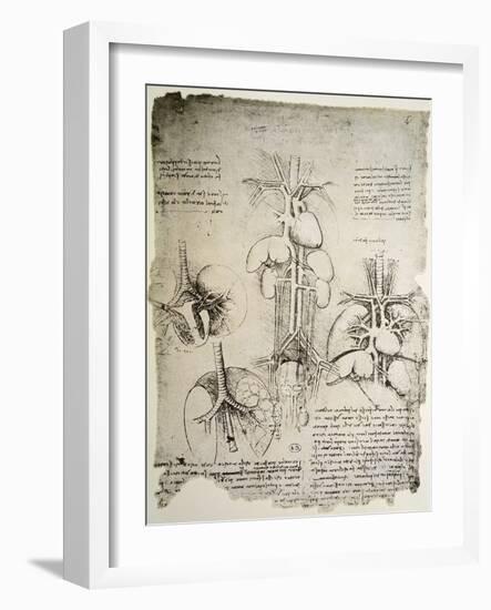 The Heart and the Circulation, Facsimile of the Windsor Book-Leonardo da Vinci-Framed Giclee Print