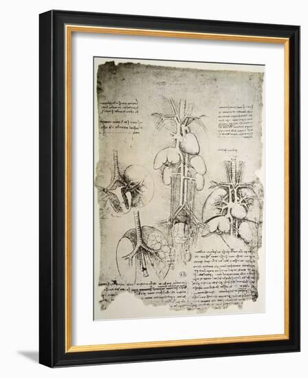 The Heart and the Circulation, Facsimile of the Windsor Book-Leonardo da Vinci-Framed Giclee Print