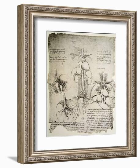 The Heart and the Circulation, Facsimile of the Windsor Book-Leonardo da Vinci-Framed Giclee Print