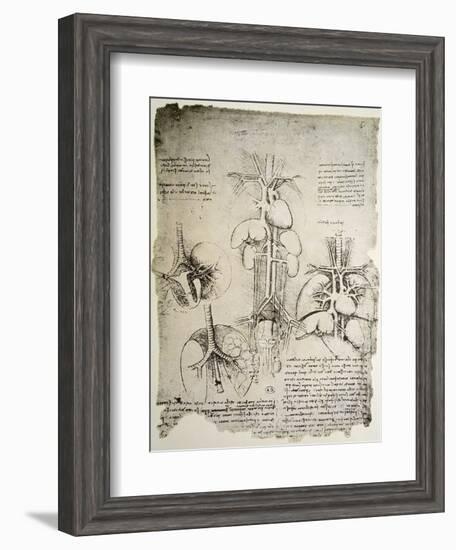 The Heart and the Circulation, Facsimile of the Windsor Book-Leonardo da Vinci-Framed Giclee Print