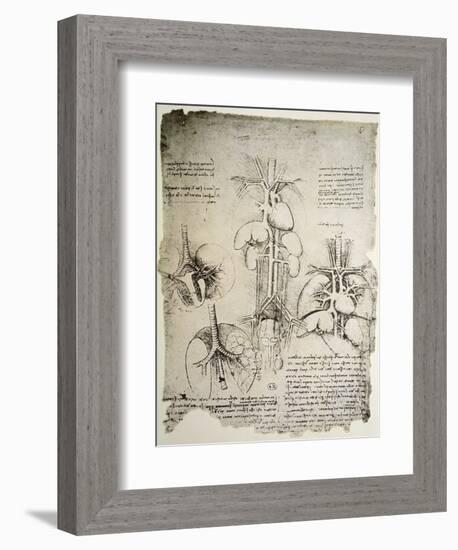 The Heart and the Circulation, Facsimile of the Windsor Book-Leonardo da Vinci-Framed Giclee Print