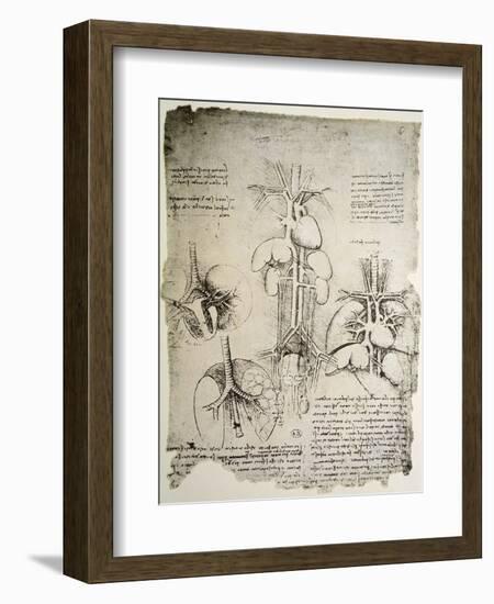 The Heart and the Circulation, Facsimile of the Windsor Book-Leonardo da Vinci-Framed Giclee Print