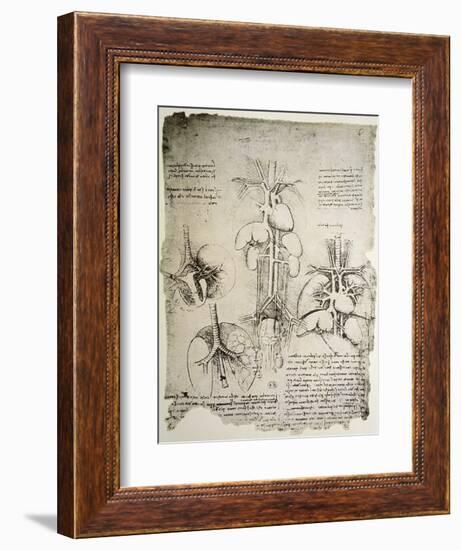 The Heart and the Circulation, Facsimile of the Windsor Book-Leonardo da Vinci-Framed Giclee Print