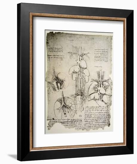 The Heart and the Circulation, Facsimile of the Windsor Book-Leonardo da Vinci-Framed Giclee Print