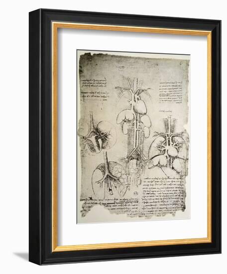 The Heart and the Circulation, Facsimile of the Windsor Book-Leonardo da Vinci-Framed Giclee Print