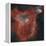 The Heart Nebula-Stocktrek Images-Framed Premier Image Canvas