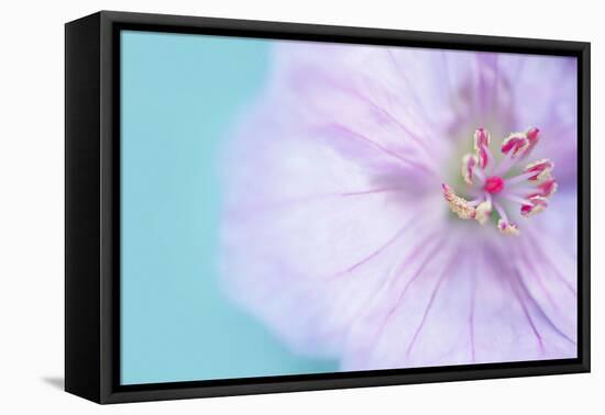 The Heart of a Flower-Sarah Gardner-Framed Premier Image Canvas