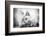 The Heart of a Lion-Jon Bertelli-Framed Photographic Print