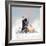 The Heaven Of Animals-Nancy Tillman-Framed Premium Giclee Print