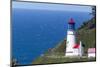 The Heceta Head lighthouse near Florence, Oregon, USA-Chuck Haney-Mounted Photographic Print