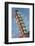 The Heights, Popular Neighborhood Sign, Little Rock, Arkansas, USA-Walter Bibikow-Framed Photographic Print