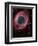 The Helix Nebula-Stocktrek Images-Framed Photographic Print