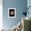 The Helix Nebula-Stocktrek Images-Framed Photographic Print displayed on a wall