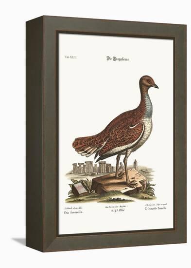 The Hen Bustard, 1749-73-George Edwards-Framed Premier Image Canvas