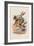 The Herald, 1930-John Tenniel-Framed Giclee Print