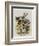 The Herald-John Tenniel-Framed Giclee Print