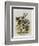 The Herald-John Tenniel-Framed Giclee Print