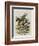 The Herald-John Tenniel-Framed Giclee Print