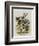 The Herald-John Tenniel-Framed Giclee Print