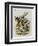 The Herald-John Tenniel-Framed Giclee Print