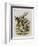 The Herald-John Tenniel-Framed Giclee Print