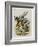 The Herald-John Tenniel-Framed Giclee Print