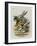 The Herald-John Tenniel-Framed Giclee Print