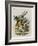 The Herald-John Tenniel-Framed Giclee Print