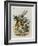 The Herald-John Tenniel-Framed Giclee Print