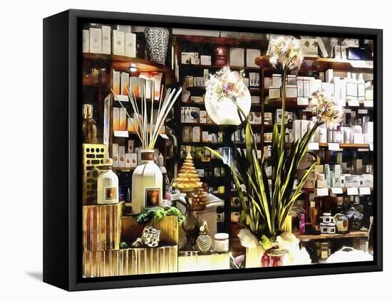 The Herbalist At Christmas-Dorothy Berry-Lound-Framed Premier Image Canvas