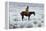 The Herd Boy-Frederic Sackrider Remington-Framed Premier Image Canvas