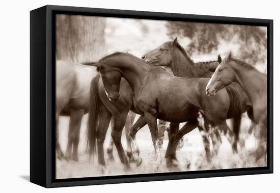 The Herd-Lisa Dearing-Framed Premier Image Canvas