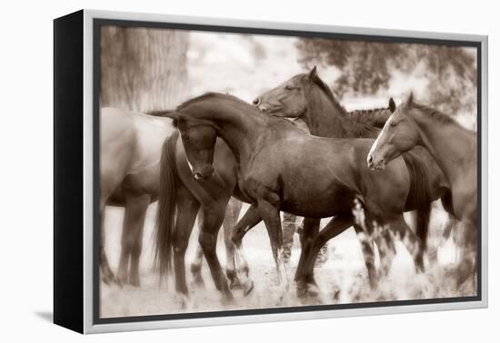 The Herd-Lisa Dearing-Framed Premier Image Canvas