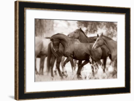 The Herd-Lisa Dearing-Framed Photographic Print