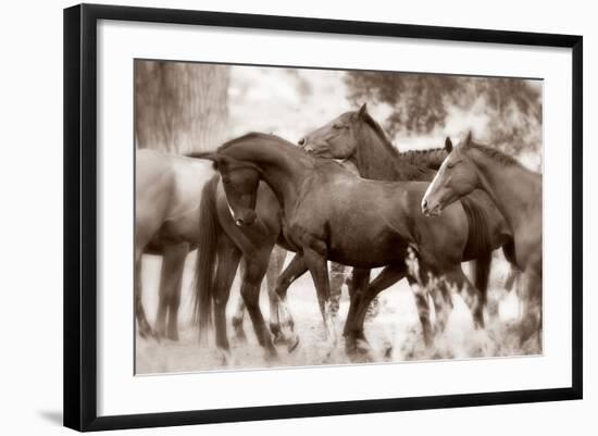 The Herd-Lisa Dearing-Framed Photographic Print