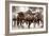 The Herd-Lisa Dearing-Framed Photographic Print