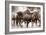 The Herd-Lisa Dearing-Framed Photographic Print