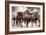 The Herd-Lisa Dearing-Framed Photographic Print