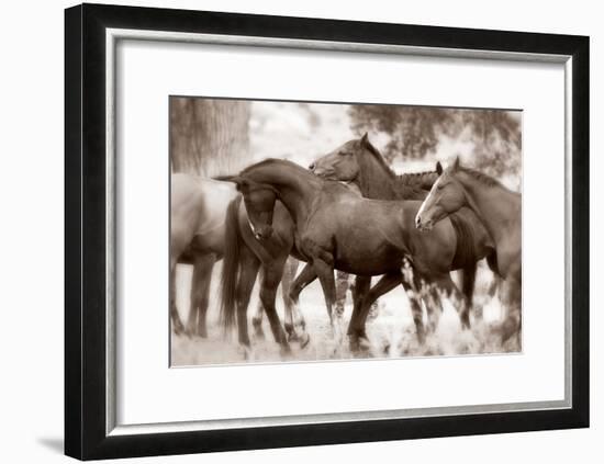 The Herd-Lisa Dearing-Framed Photographic Print