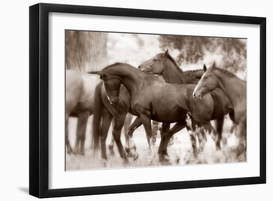 The Herd-Lisa Dearing-Framed Photographic Print