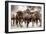 The Herd-Lisa Dearing-Framed Photographic Print