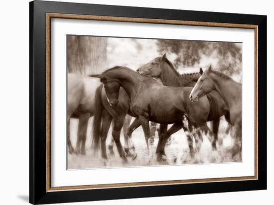 The Herd-Lisa Dearing-Framed Photographic Print