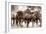 The Herd-Lisa Dearing-Framed Photographic Print